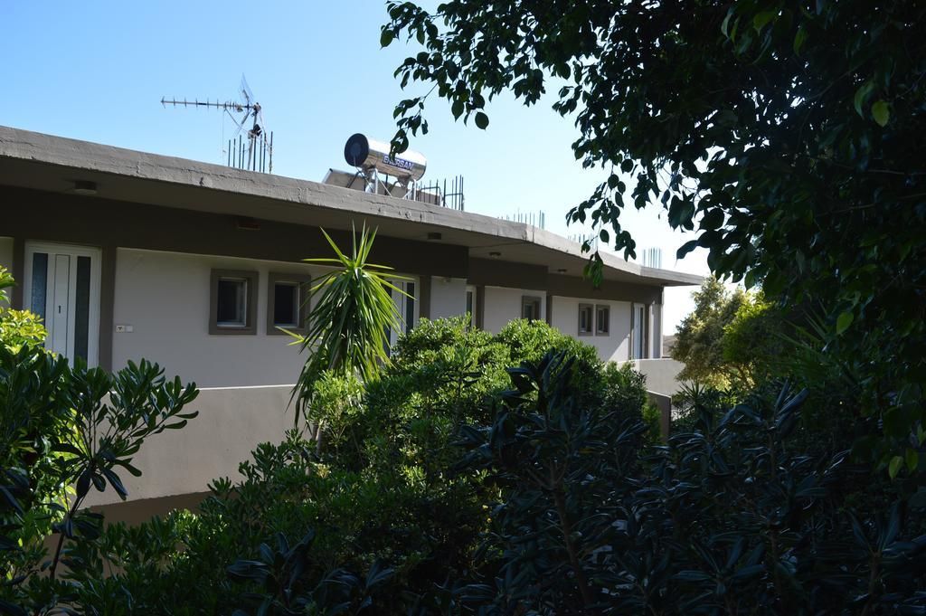 Horizon Studios *