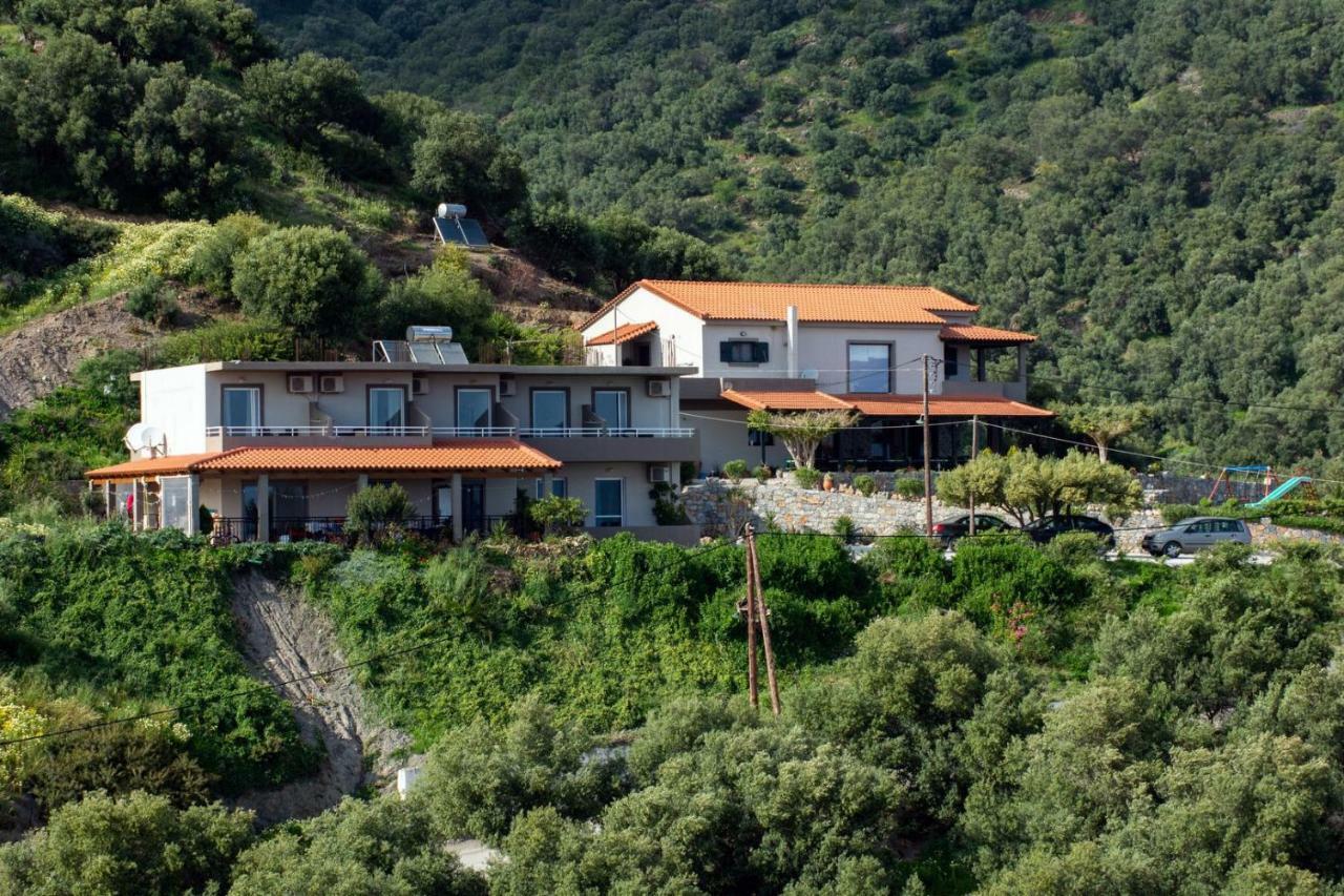 Horizon Studios *